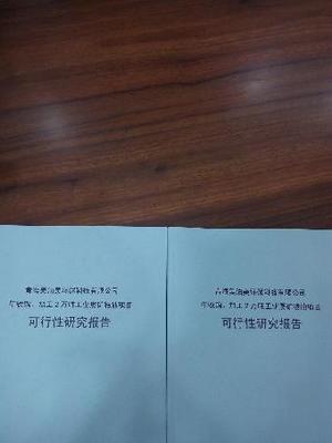 原阳养老地产项目可行性研究报告