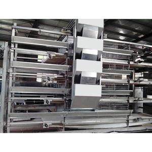 恒星鸡笼厂 自动化养鸡设备引领高效养殖新潮流